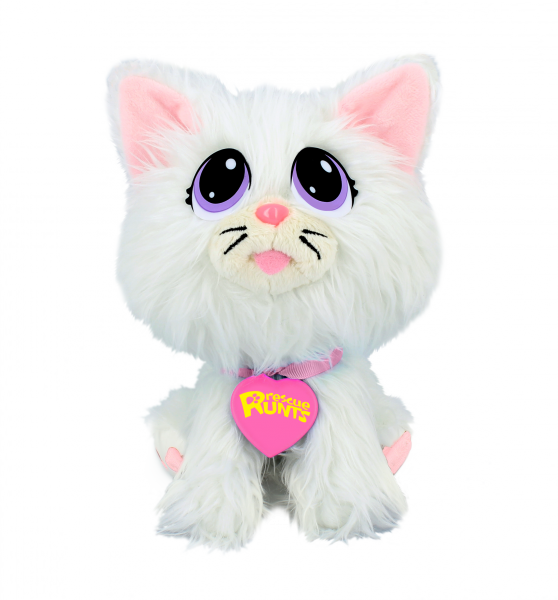 Rescue runts gato sales